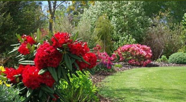 Tui Lodge Turangi Eksteriør bilde